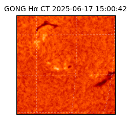 gong - 2025-06-17T15:00:42