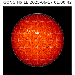 gong - 2025-06-17T01:00:42