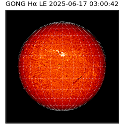 gong - 2025-06-17T03:00:42
