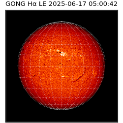 gong - 2025-06-17T05:00:42
