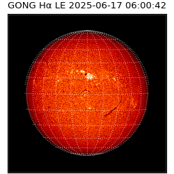 gong - 2025-06-17T06:00:42