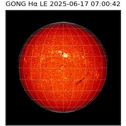 gong - 2025-06-17T07:00:42
