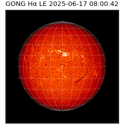 gong - 2025-06-17T08:00:42