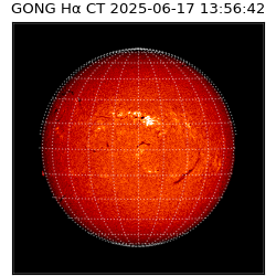 gong - 2025-06-17T13:56:42