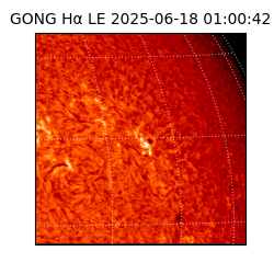 gong - 2025-06-18T01:00:42