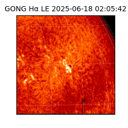 gong - 2025-06-18T02:05:42