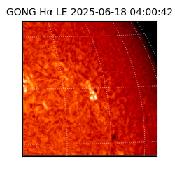 gong - 2025-06-18T04:00:42