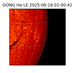 gong - 2025-06-18T01:00:42