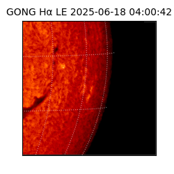 gong - 2025-06-18T04:00:42