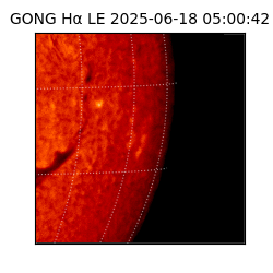 gong - 2025-06-18T05:00:42