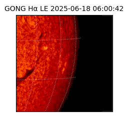 gong - 2025-06-18T06:00:42