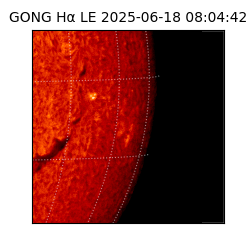gong - 2025-06-18T08:04:42