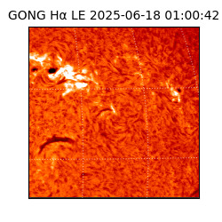 gong - 2025-06-18T01:00:42