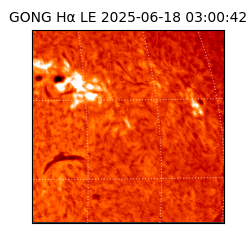 gong - 2025-06-18T03:00:42