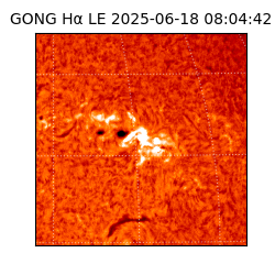 gong - 2025-06-18T08:04:42