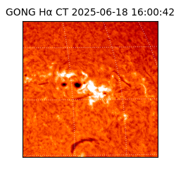 gong - 2025-06-18T16:00:42