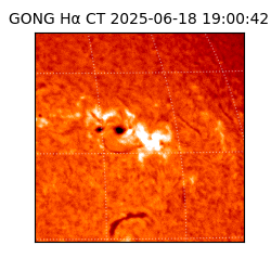 gong - 2025-06-18T19:00:42