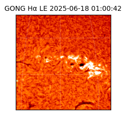 gong - 2025-06-18T01:00:42