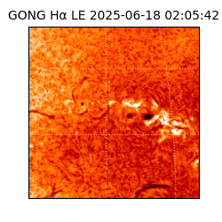gong - 2025-06-18T02:05:42