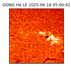 gong - 2025-06-18T05:00:42