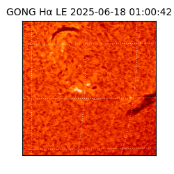gong - 2025-06-18T01:00:42