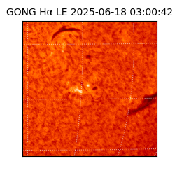 gong - 2025-06-18T03:00:42