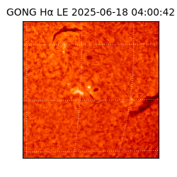 gong - 2025-06-18T04:00:42