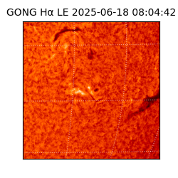gong - 2025-06-18T08:04:42