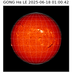 gong - 2025-06-18T01:00:42