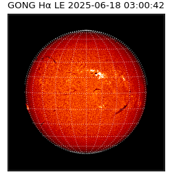 gong - 2025-06-18T03:00:42