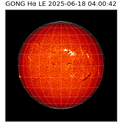 gong - 2025-06-18T04:00:42