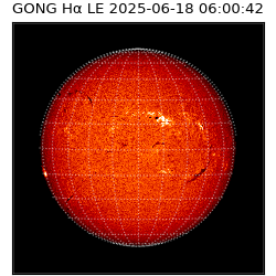 gong - 2025-06-18T06:00:42