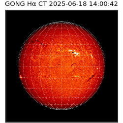 gong - 2025-06-18T14:00:42