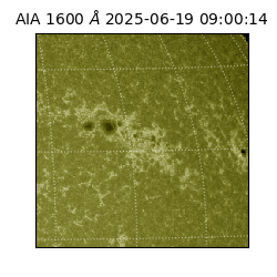 saia - 2025-06-19T09:00:14.126000