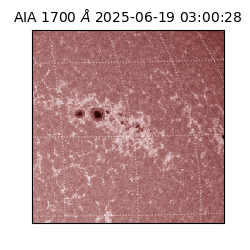 saia - 2025-06-19T03:00:28.721000