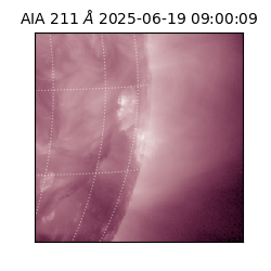 saia - 2025-06-19T09:00:09.625000