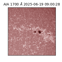 saia - 2025-06-19T09:00:28.722000