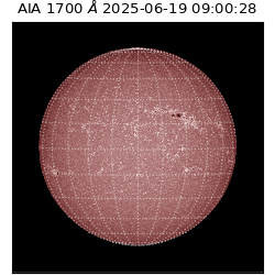 saia - 2025-06-19T09:00:28.722000