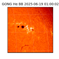 gong - 2025-06-19T01:00:02