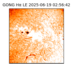 gong - 2025-06-19T02:56:42