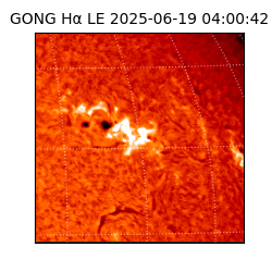 gong - 2025-06-19T04:00:42