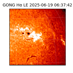 gong - 2025-06-19T06:37:42