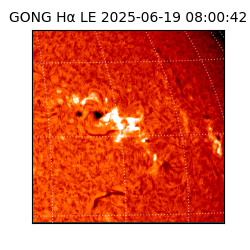 gong - 2025-06-19T08:00:42