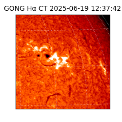 gong - 2025-06-19T12:37:42