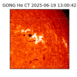 gong - 2025-06-19T13:00:42