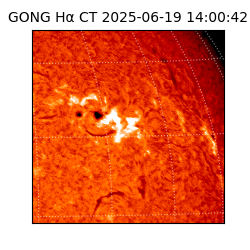 gong - 2025-06-19T14:00:42