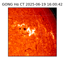 gong - 2025-06-19T16:00:42