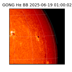 gong - 2025-06-19T01:00:02
