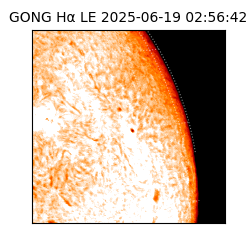 gong - 2025-06-19T02:56:42