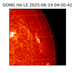 gong - 2025-06-19T04:00:42